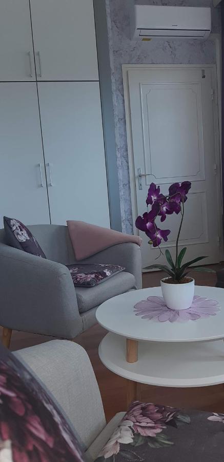 Lila Haz Apartment Harkány Екстериор снимка